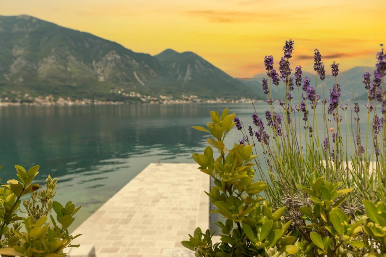 Apartments D&V Kotor Exteriér fotografie